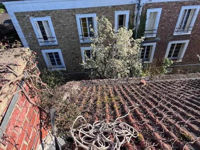 Nettoyage toiture Florens