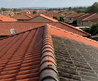 Démoussage toiture Ivry-sur-Seine